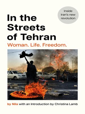 cover image of In the Streets of Tehran